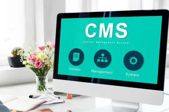 User-Friendly WordPress CMS